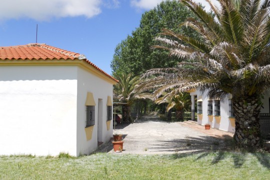 Ronda 7 min. Country House, Cottage, Pool, Tennis