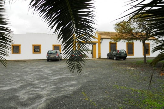 Equestrian Finca, Country House, Guest Cottage, Pool, Stables