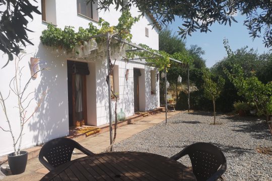 Country House, 3 beds, 2 baths, Pool & 6000m2 Land.