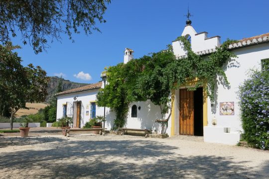 Cortijo Andaluz, Stables, 2 Guest Houses, Pool