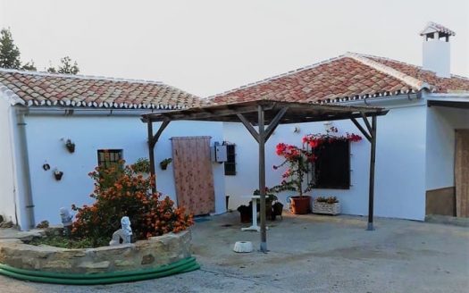 Farm with 2 Houses, 24 Hectares, Small Vineyard