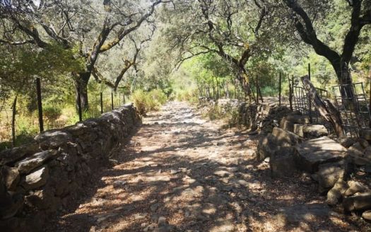 Finca con Cortijo y Nave a Reformar