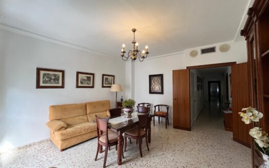 Central apartment 220m2, 3 bedrooms, 2 bathrooms, storage room and attic.