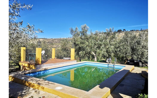 Country house, Pool, Olive grove and Farmland