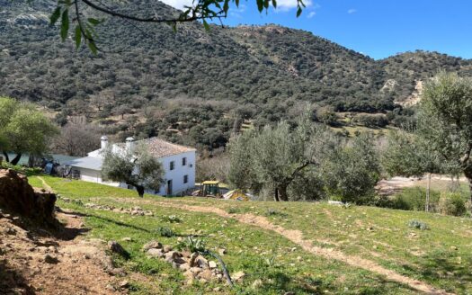 Rustic Estate in Ronda