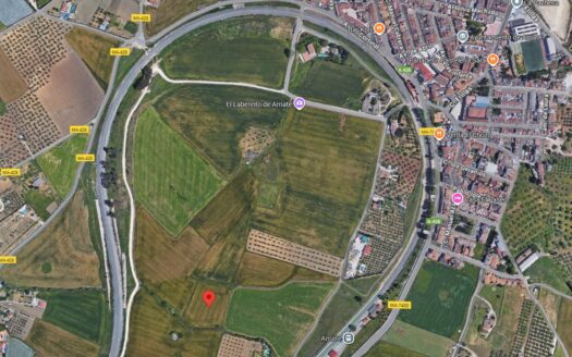 Land 54.000m2, Cultivation, Vines, Olives, Grazing