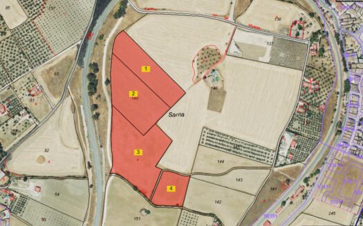 Land 54.000m2, Cultivation, Vines, Olives, Grazing