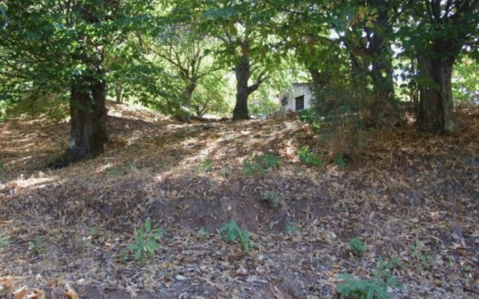 Quaint Country House, 25.000m2, Views