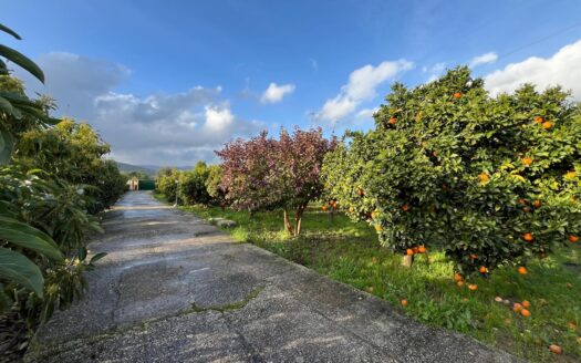 Rural House for Sale in Jimena de la Frontera