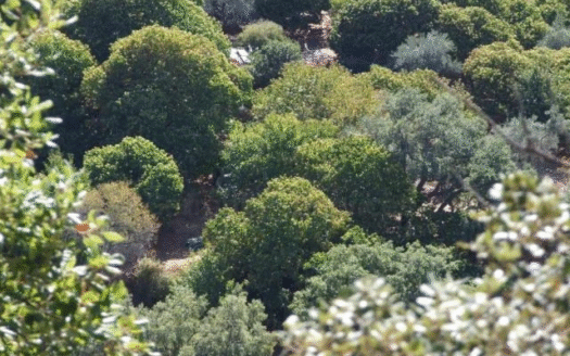 Quaint Country House, 25.000m2, Views