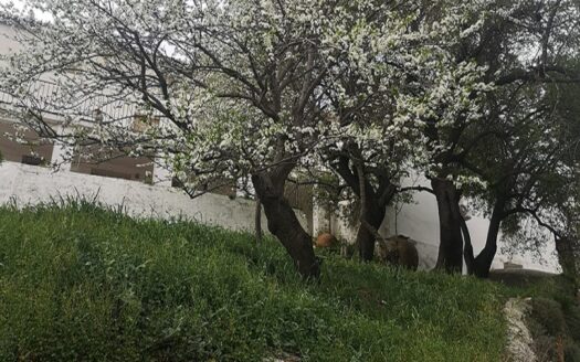Large House with Garden, Garages, Swimming Pool and Own Water.