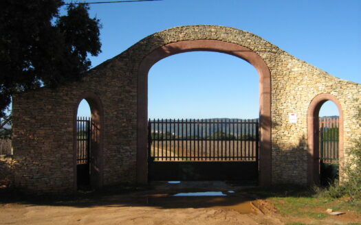 Vineyard 33.000 m2, Bodega 230 m2, Vines 14 years