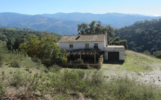 Country Estate, Cortijo, 2 Houses, 88 Ha, Cork
