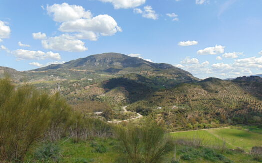 Finca with Ruins, Land 15.2 Hectares