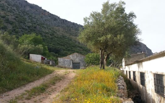 Finca – House, 4 Beds, Outbuildings, Views