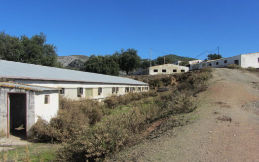 Country Estate, Cortijo, 2 Houses, 88 Ha, Cork