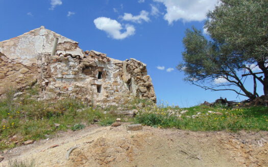 Finca with Ruins, Land 15.2 Hectares