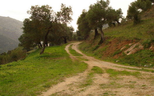Finca – House, 4 Beds, Outbuildings, Views