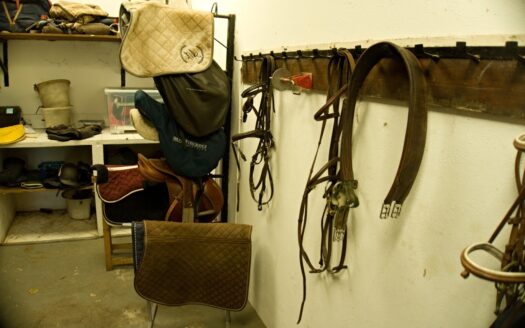 Equestrian Centre Indoor/Outdoor Arenas, Santander