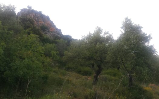 Finca – House, 4 Beds, Outbuildings, Views