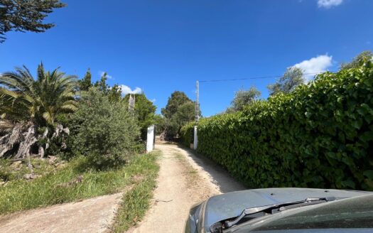 Encantadora finca con piscina y nave- 27.386 m² de tranquilidad
