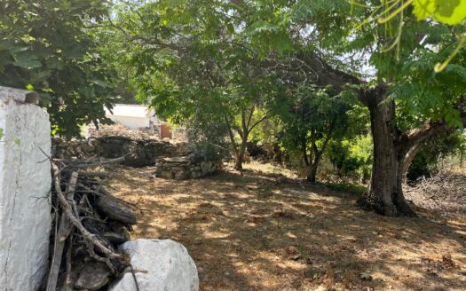 Gran Finca con Vistas Espectaculares en El Gastor – 22.437 m² de Naturaleza y Potencial