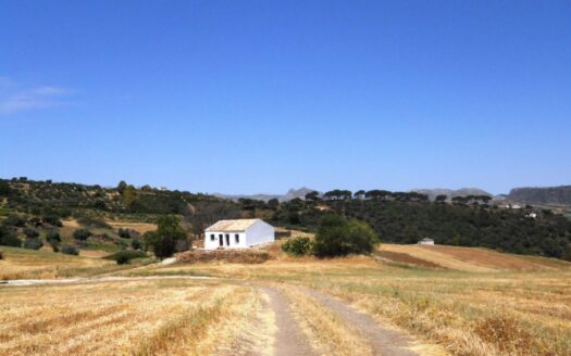 Encantadora Casa de Campo en Venta en Ronda – 15.000m² de Terreno Llano en Ubicación Privilegiada