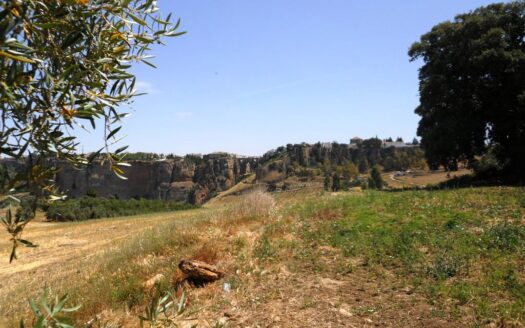 Encantadora Casa de Campo en Venta en Ronda – 15.000m² de Terreno Llano en Ubicación Privilegiada