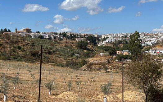 Charming Country Estate in Ronda with 5 Bedrooms – 16,476 m²