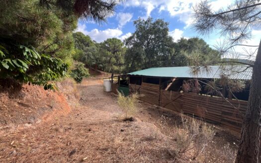 Se vende finca rústica de casi 14 hectáreas en Jubrique.