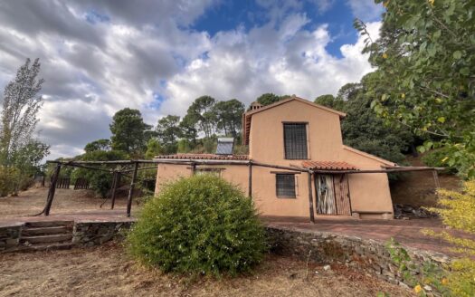 Se vende finca rústica de casi 14 hectáreas en Jubrique.