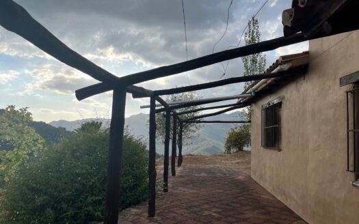 Se vende finca rústica de casi 14 hectáreas en Jubrique.