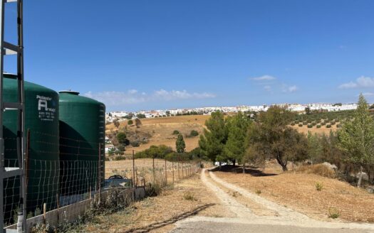 Charming Country Estate in Ronda with 5 Bedrooms – 16,476 m²