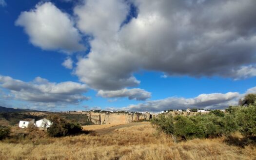 Encantadora Casa de Campo en Venta en Ronda – 15.000m² de Terreno Llano en Ubicación Privilegiada