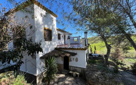 Finca con 6 habitaciones y 2 piscinas en Ronda
