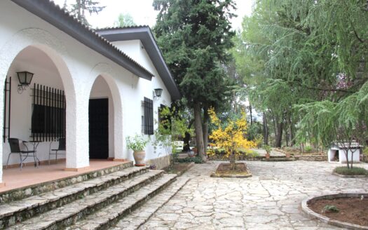Finca situada en el entorno natural de Ronda.