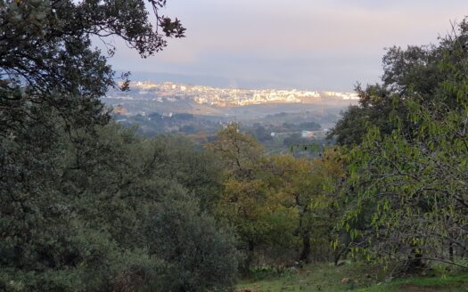 Finca con vivienda de 120 m² situada en un entorno tranquilo y natural.