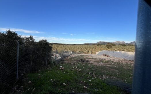 Parcela urbana de 578 m² en Paraje Los Pichachos, Arriate.