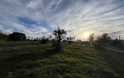 Parcela urbana de 578 m² en Paraje Los Pichachos, Arriate.