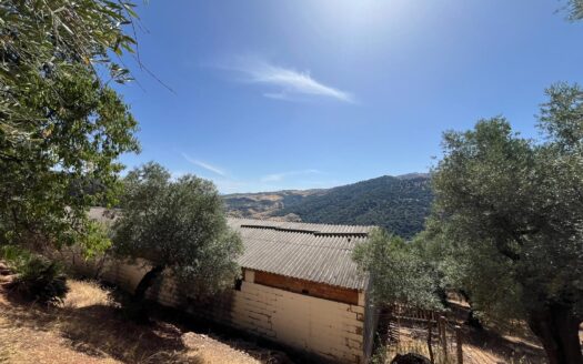 Finca rústica con nave en venta en Benaoján