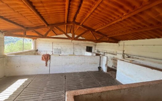 Finca rústica con nave en venta en Benaoján