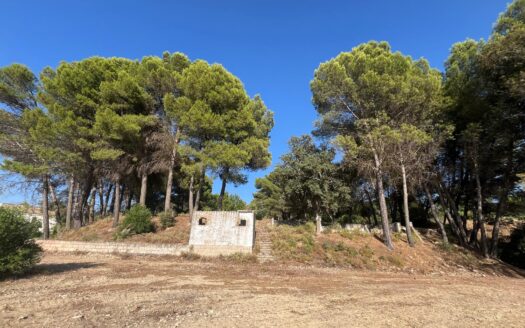 Finca rústica de 56.112 m² con cortijo, olivar, pozo y magníficas vistas