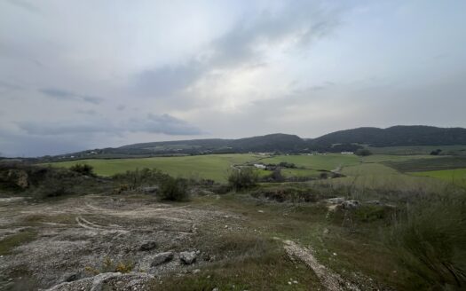 Terreno en Arriate-26.000m2