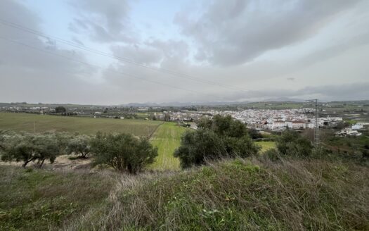 Terreno en Arriate-26.000m2