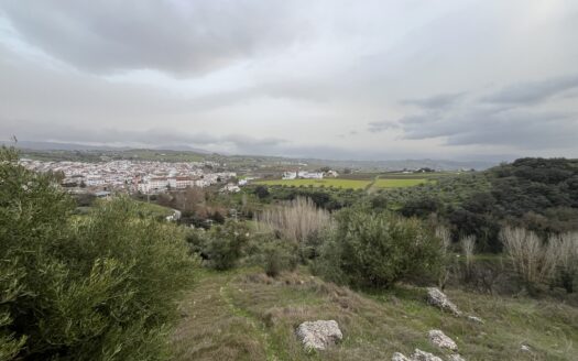 Terreno en Arriate-26.000m2