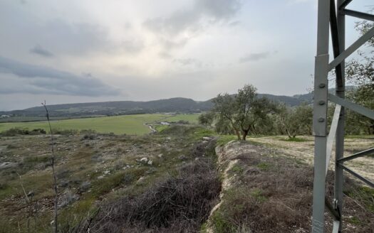 Terreno en Arriate-26.000m2