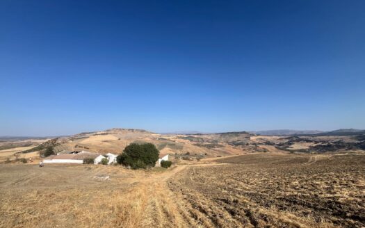 Finca rústica en Villalones con casa, terreno y pozo
