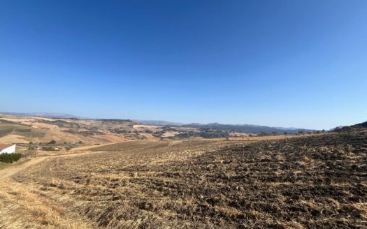 Finca rústica en Villalones con casa, terreno y pozo