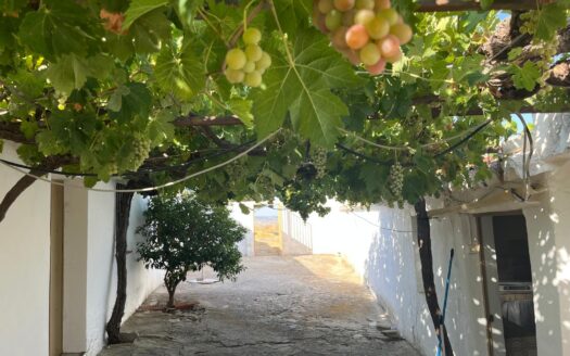 Finca rústica en Villalones con casa, terreno y pozo