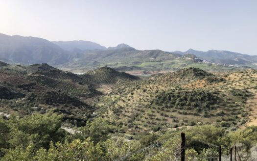 Finca rústica de olivar en El Gastor